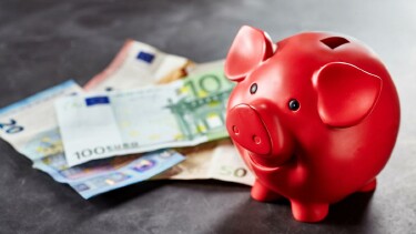 Sparschwein mit Geldscheinen